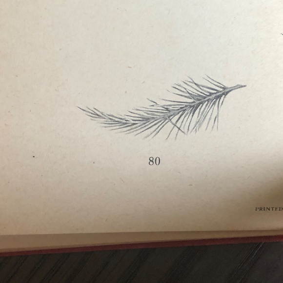 Rare VTG '47 Jesus & His Friends~Mary A. Jones HC Book Illustrated Rand McNally - Picture 13 of 16